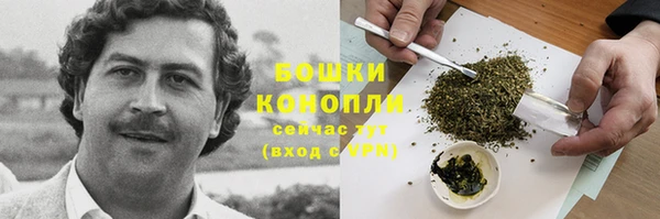 ECSTASY Лиски