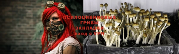 альфа пвп Лихославль