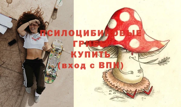 ECSTASY Лиски