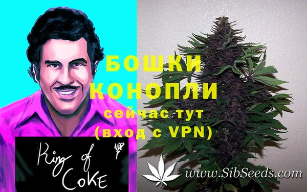 гидра Кулебаки